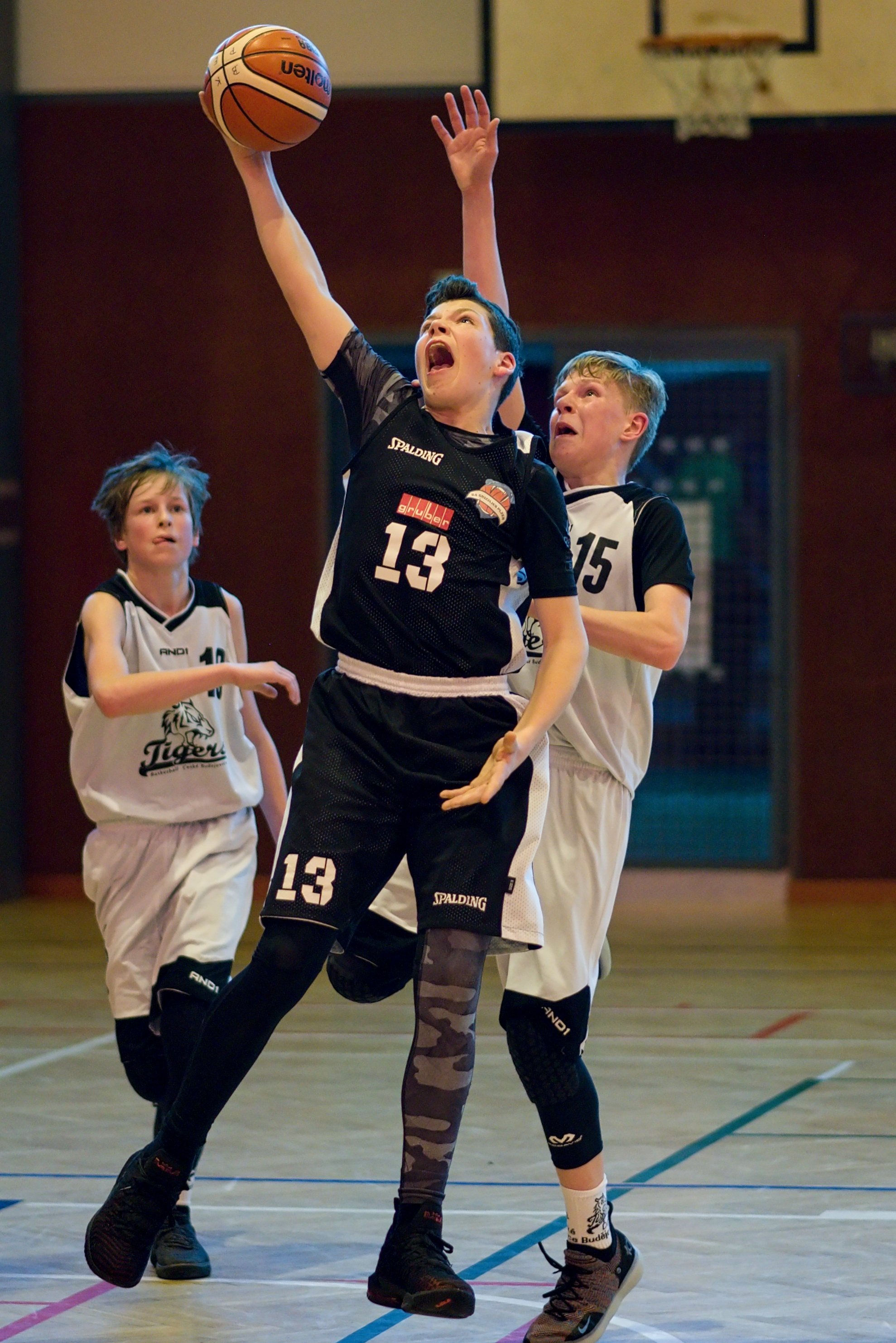 PLZEŇ X TIGERS Č. BUDĚJOVICE 45 : 66